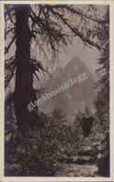 AK 1923 Am Weg zur Albignahütte
