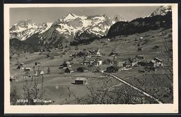 AK Wildhaus, Teilansicht