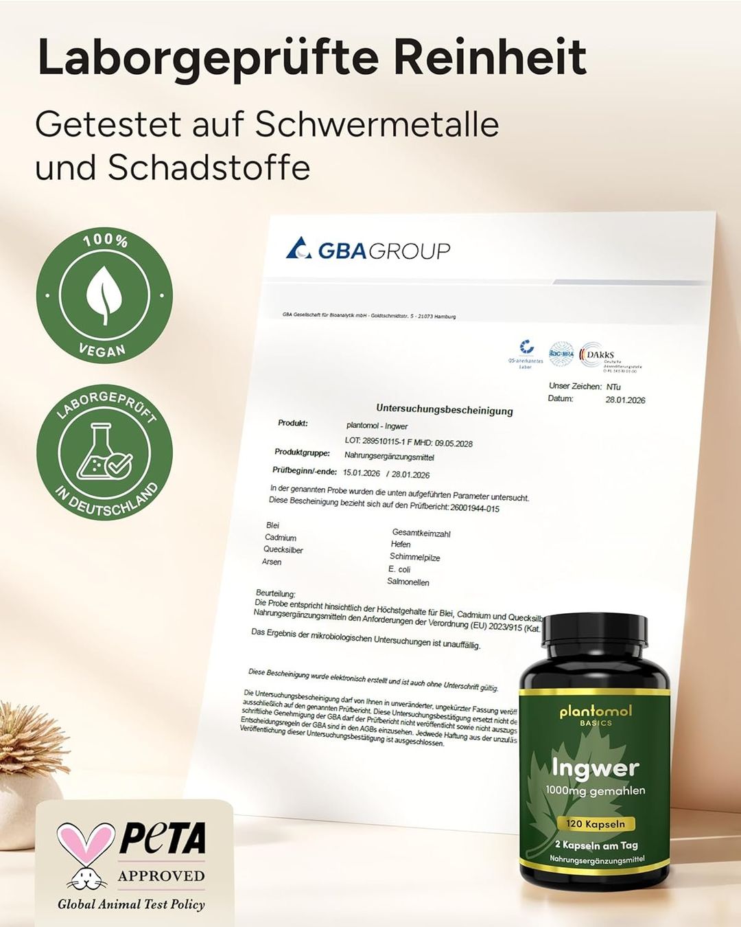 Cibi & Specialità: Ingwer Kapseln 1000mg 2 Monate Vorrat – Nuovo e nell'imballaggio originale da Suhr venduto da SchnapperCH 2