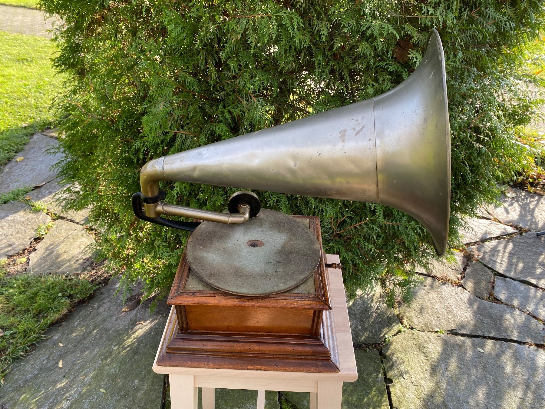 Giradischi: sehr seltenes antikes Grammophone / Phonograph – Usato da Feldbach venduto da Olive1 1