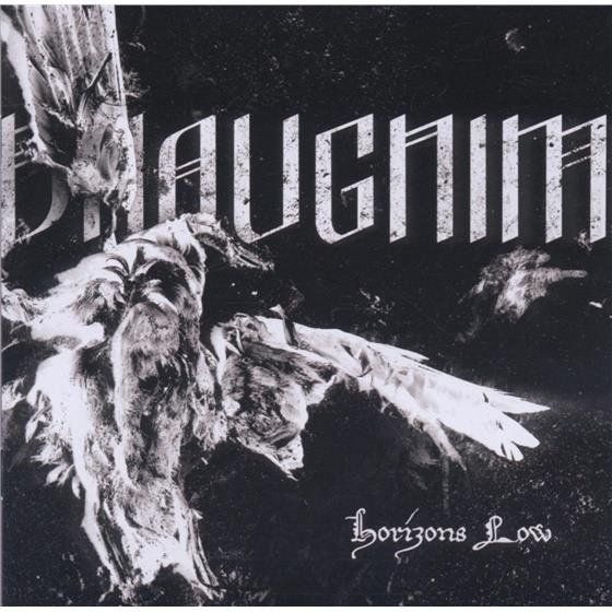 CDs: Draugnim - Horizons Low – Gebraucht aus Uzwil von visions77