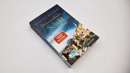 Buch, Sophie Bonnet, Provenzalische Schuld