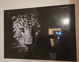 Leopardenbild, Schwarz-Weiss Druck, Top Zustand, Blickfang