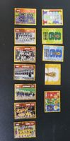 Panini Sticker 12x FWC
