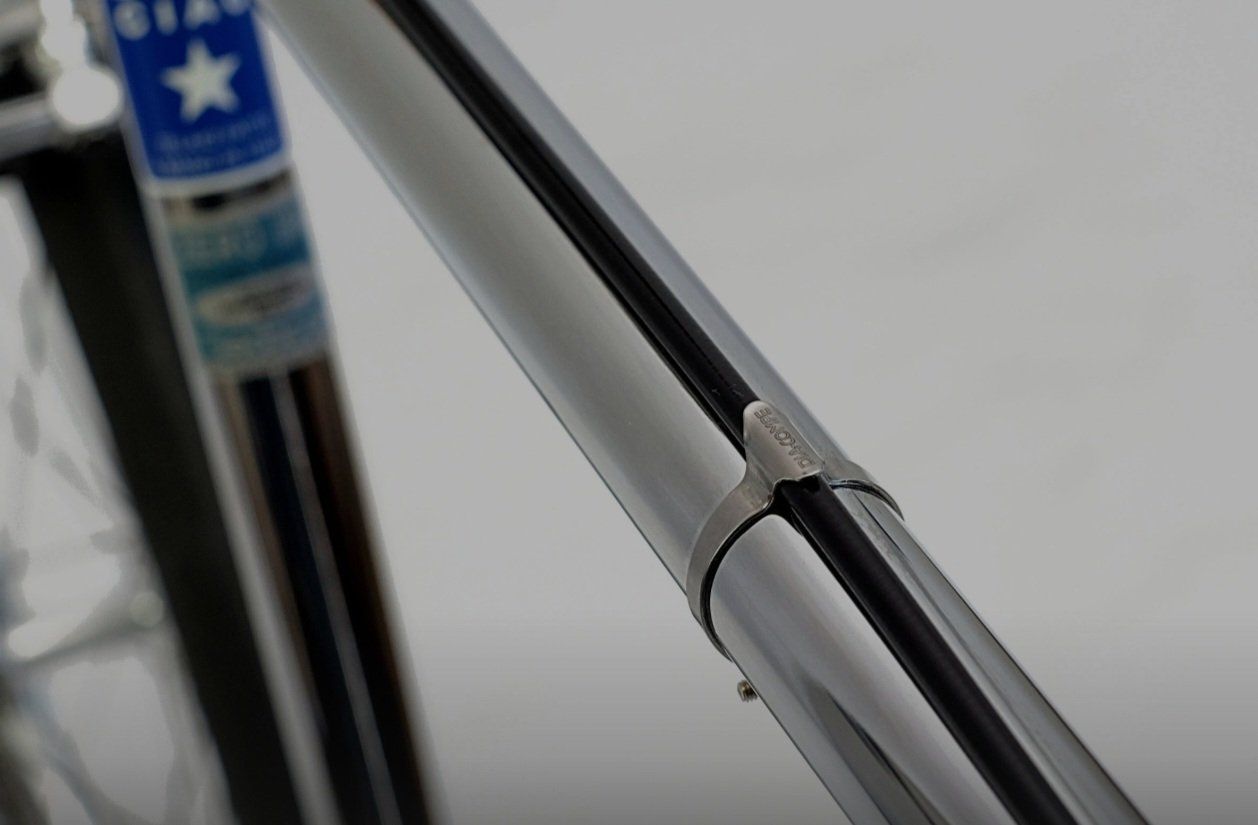 Biciclette: Velo Bella Ciao Monza 54cm SingleSpeed/Freilauf – Nuovo (secondo la descrizione) da Burgdorf venduto da zweiradwerkstatt 4