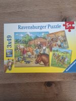 puzzles chevaux, 3 x 49pces, Ravensburger