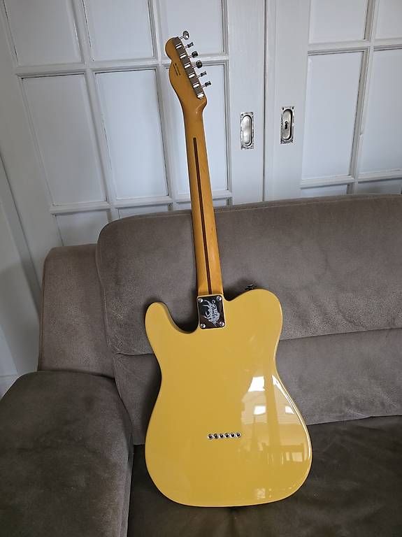 Fender Strumenti musicali: Fender Britt Daniels Thinline Telecaster – Usato da Neuchâtel venduto da Obe_Ne 1