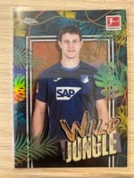 Topps Chrome Bundesliga 25/26 Adam Hlozek Wild Jungle