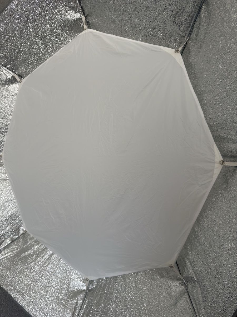 Elinchrom Flash: Elinchrom D-Lite RX 4 Set + Rotalux 140cm Softbox – Usato da Steffisburg venduto da com_tg29 1
