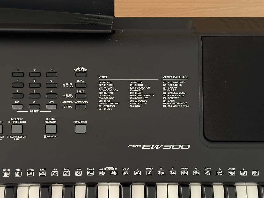 Strumenti musicali: Keyboard Yamaha PSR-EW300 – Nuovo (secondo la descrizione) da St. Gallen venduto da australia_2023 2