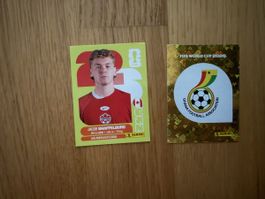 Panini Sticker: CAN und GHA