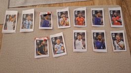 Coca Cola Panini Stickers 