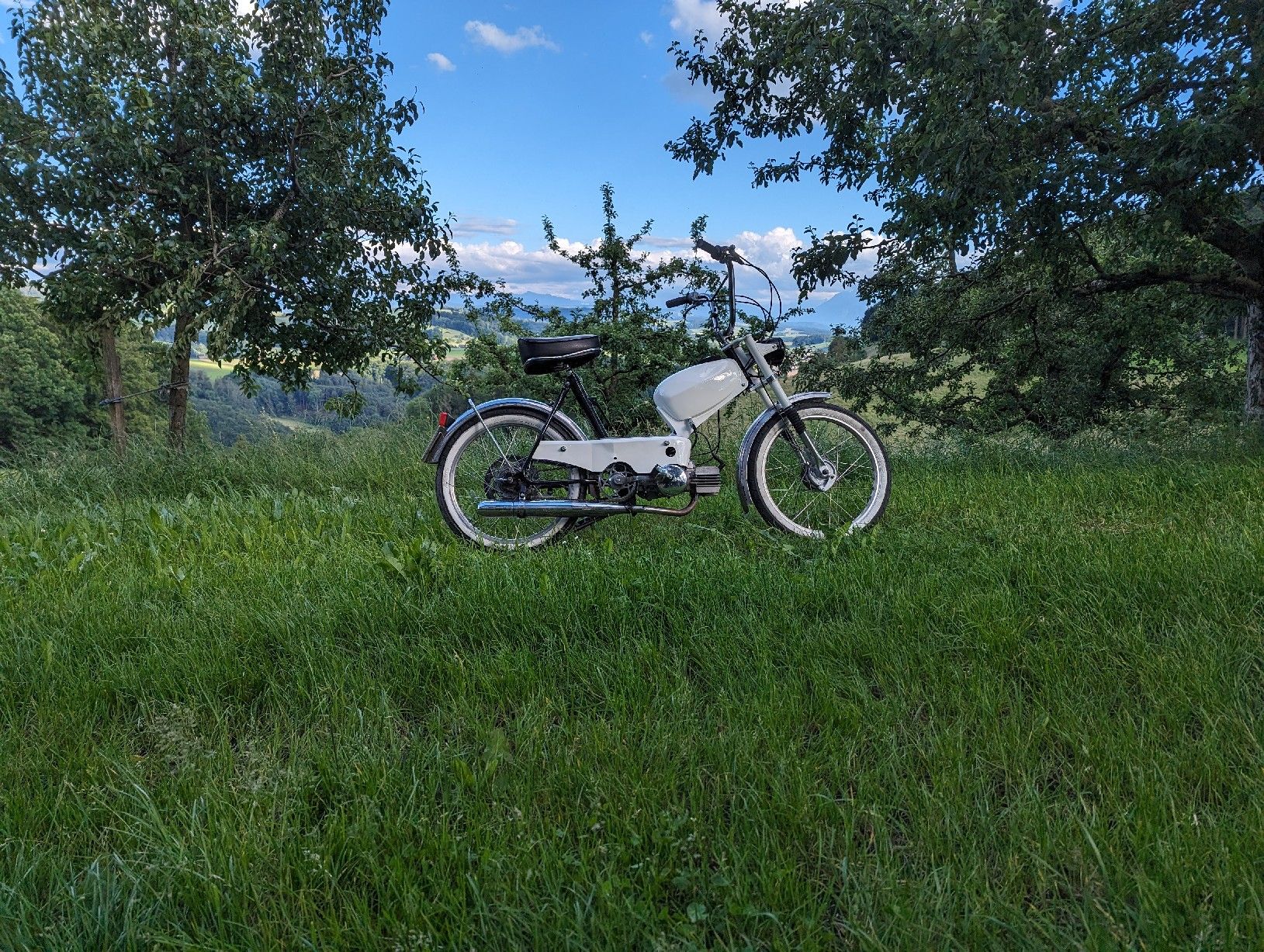 Sachs Ciclomotori: Sachs 504 HG – Usato da Stettlen venduto da doggoegg 1