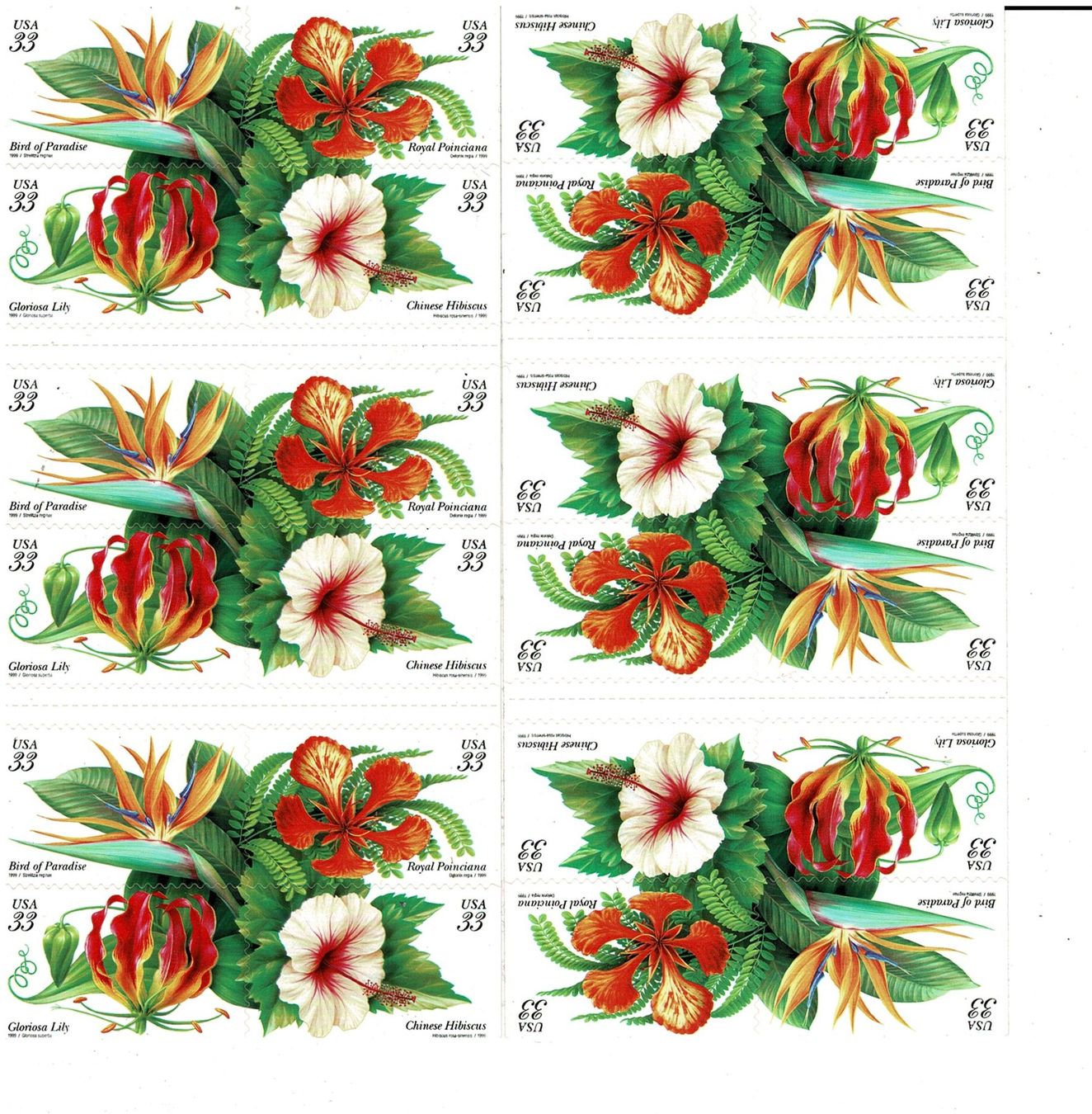 Tutti i francobolli: USA Tropische Blumen 1 Heftchen ** – Nuovo (secondo la descrizione) da Lausanne venduto da Whorvath