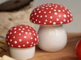 🍄FLIEGENPILZE 🍄-STREUER🍄