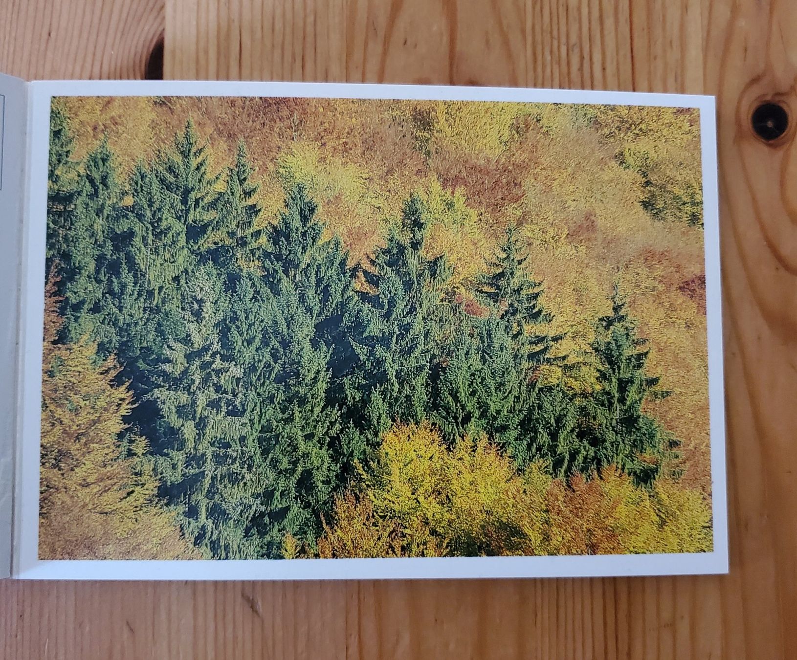 Livres: Postkartenbücher Herbst & Wege - 41 wunderschöne Postkarten – D'occasion à Zürich par BornInQueensland 3