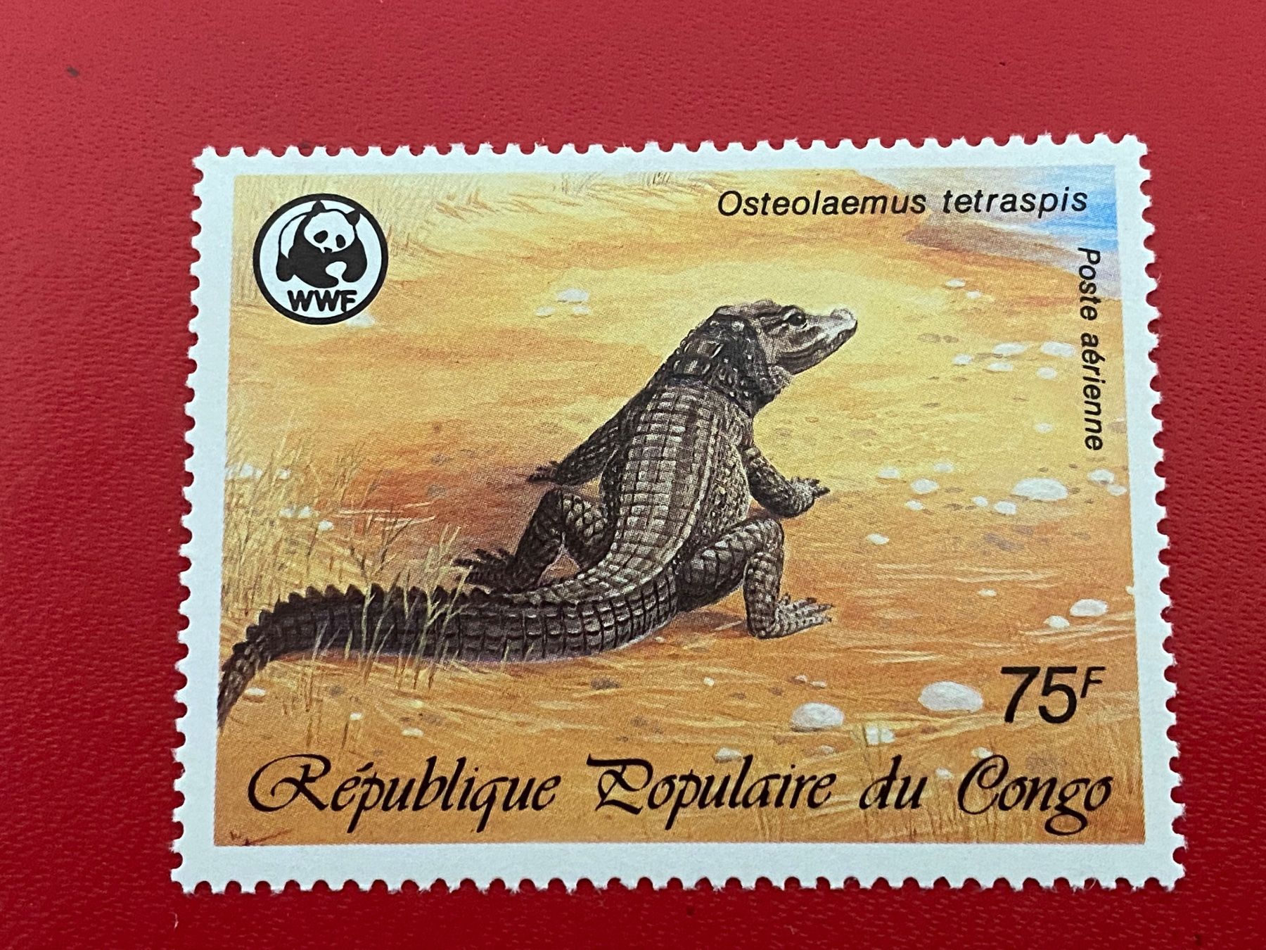 Alle Briefmarken: Timbres - Congo – Neu (gemäss Beschreibung) aus Petit-Lancy von Solcarm 1