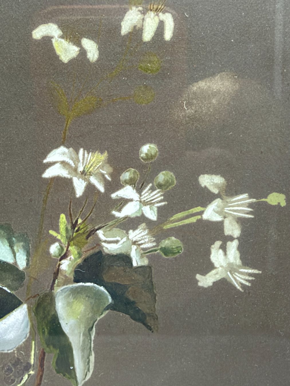 Gemälde: Gouache ancienne composition botanique XIXe siècle – Gebraucht aus Cossonay-Ville von Retrova 4