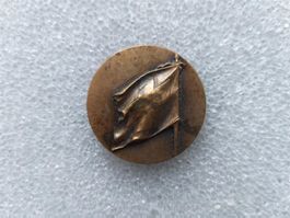 Medaille Entlassungsinspektion 1987