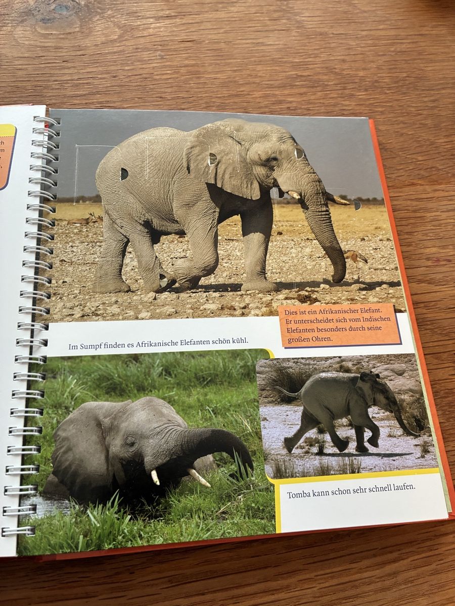 Libri: Kinderbuch Der kleine Elefant wird gross Ellermann – Usato da Wettingen venduto da ric_xm6x 4