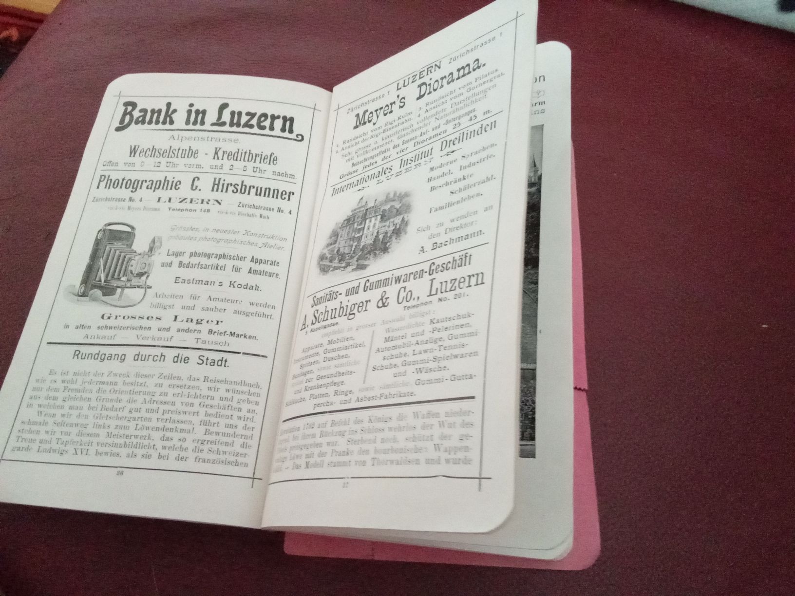 Libri: DER GLETSCHER-GARTEN LUZERN UM 1910 – Usato da Muri BE venduto da Alk 8