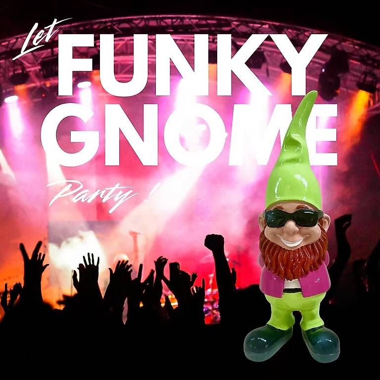 Figurines: FunkyGnome - Vert - Offre spéciale – D'occasion à Blonay par gim_f5b8 4