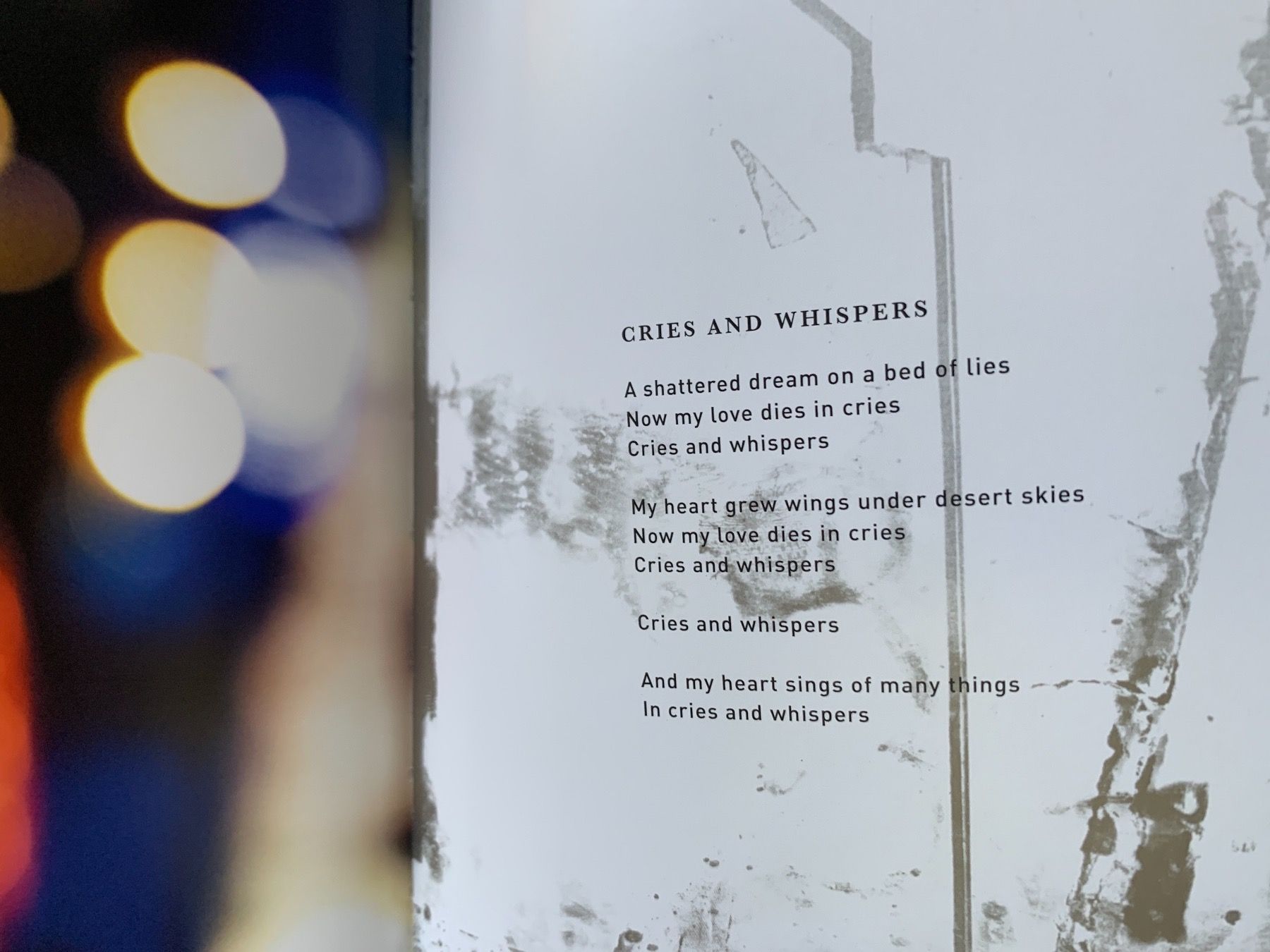 Bücher: Hypergraphia - The writings of David Sylvian 1980 - 2014 – Gebraucht aus Zürich von ZuercherBrockenhaus 3