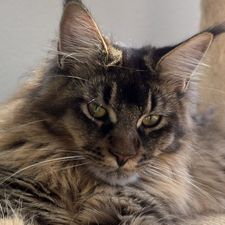 Profile image of imh_bl67