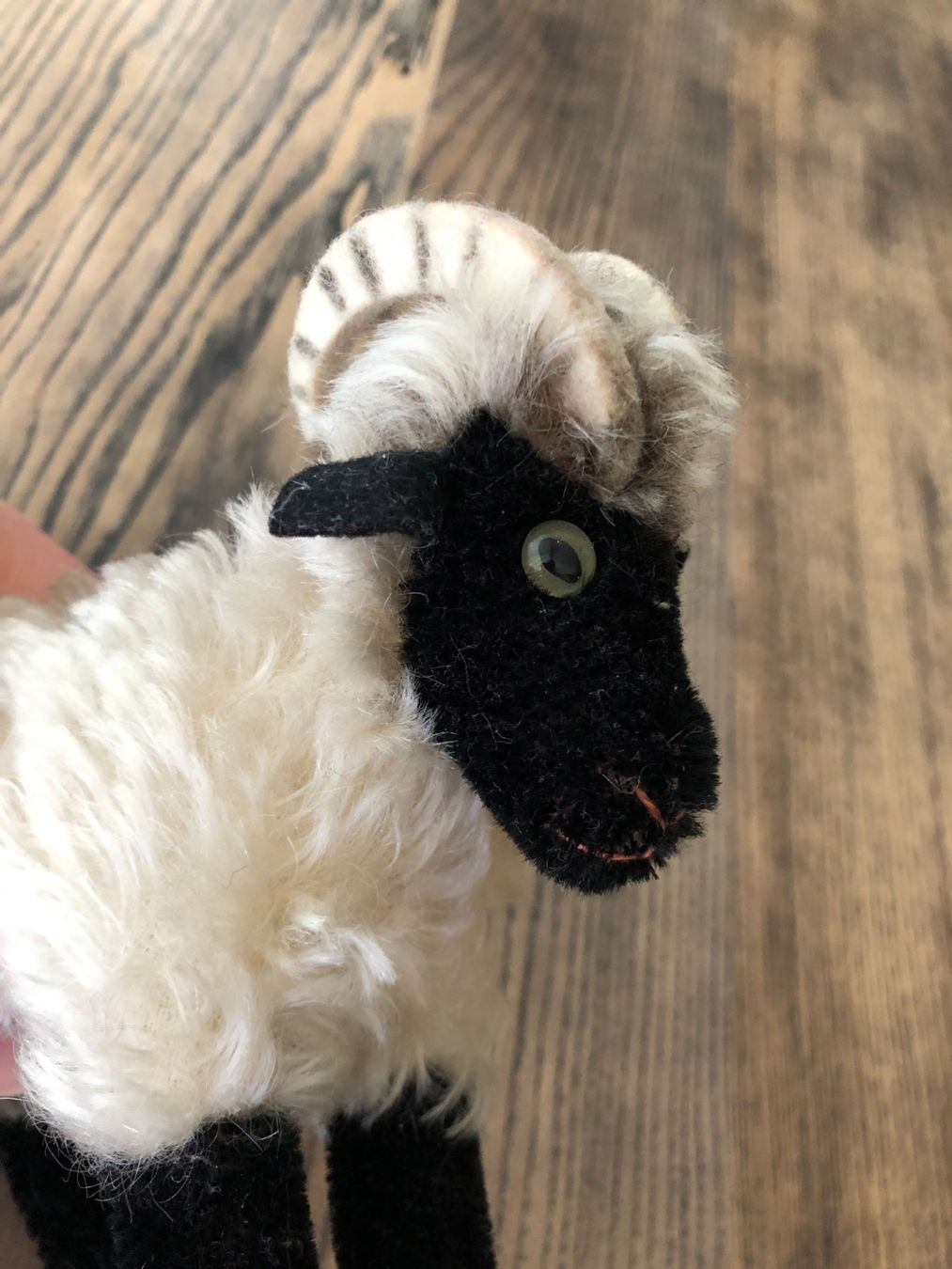 Steiff Giocattoli: Vintage Steiff Heideschaf Schaf Ziegenbock – Usato da Berg am Irchel venduto da Zweiti_Chance 3