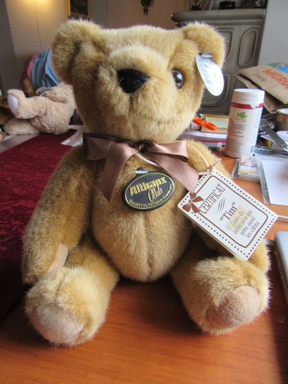 Teddy Tim von Althans, ca. 33 cm (Gebraucht) in Wattwil für CHF 4 – mit ...