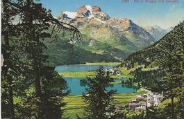 Arosa