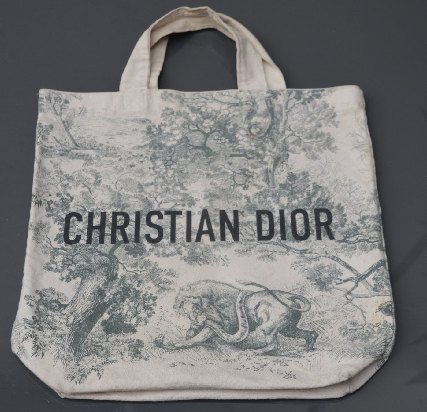 Dior Borse: Christian Dior Diorodeo Tote Tasche / sac – Usato da Collonges venduto da Auganien 2