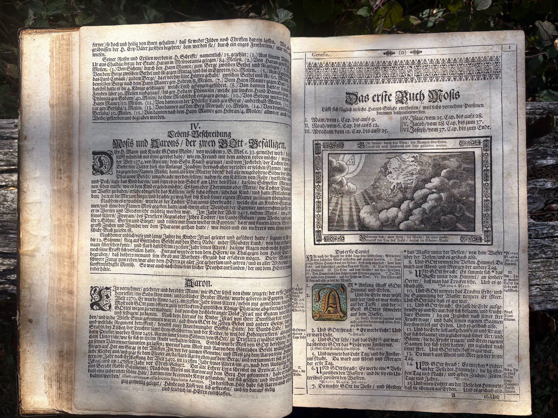 Libri: Endterischen Holzschnitt-Bibel – Usato da Stüsslingen venduto da Ideur1 8