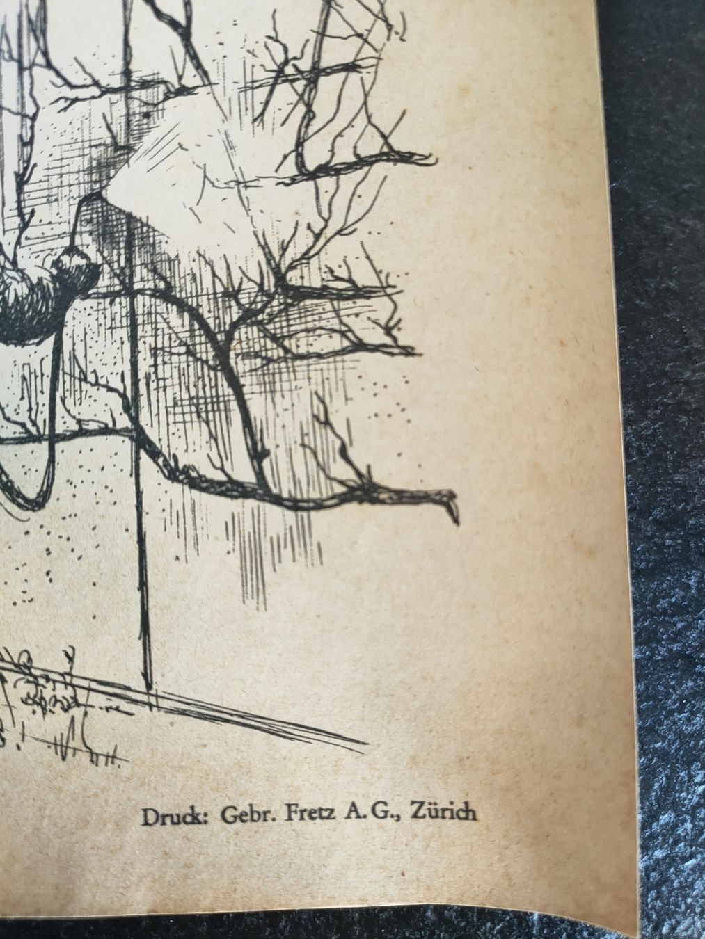 Libri: Seltenes Buch: Schädlingsbekämpfung im Obstbau, antik 1940 – Usato da Gipf-Oberfrick venduto da minini 3