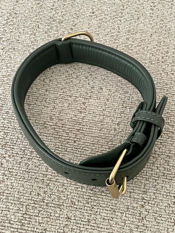 Hundehalsband Leder William Walker (ungebraucht) (Neu (gemss  Beschreibung)) in Basel fr CHF 20  mit Lieferung auf Ricardo kaufen