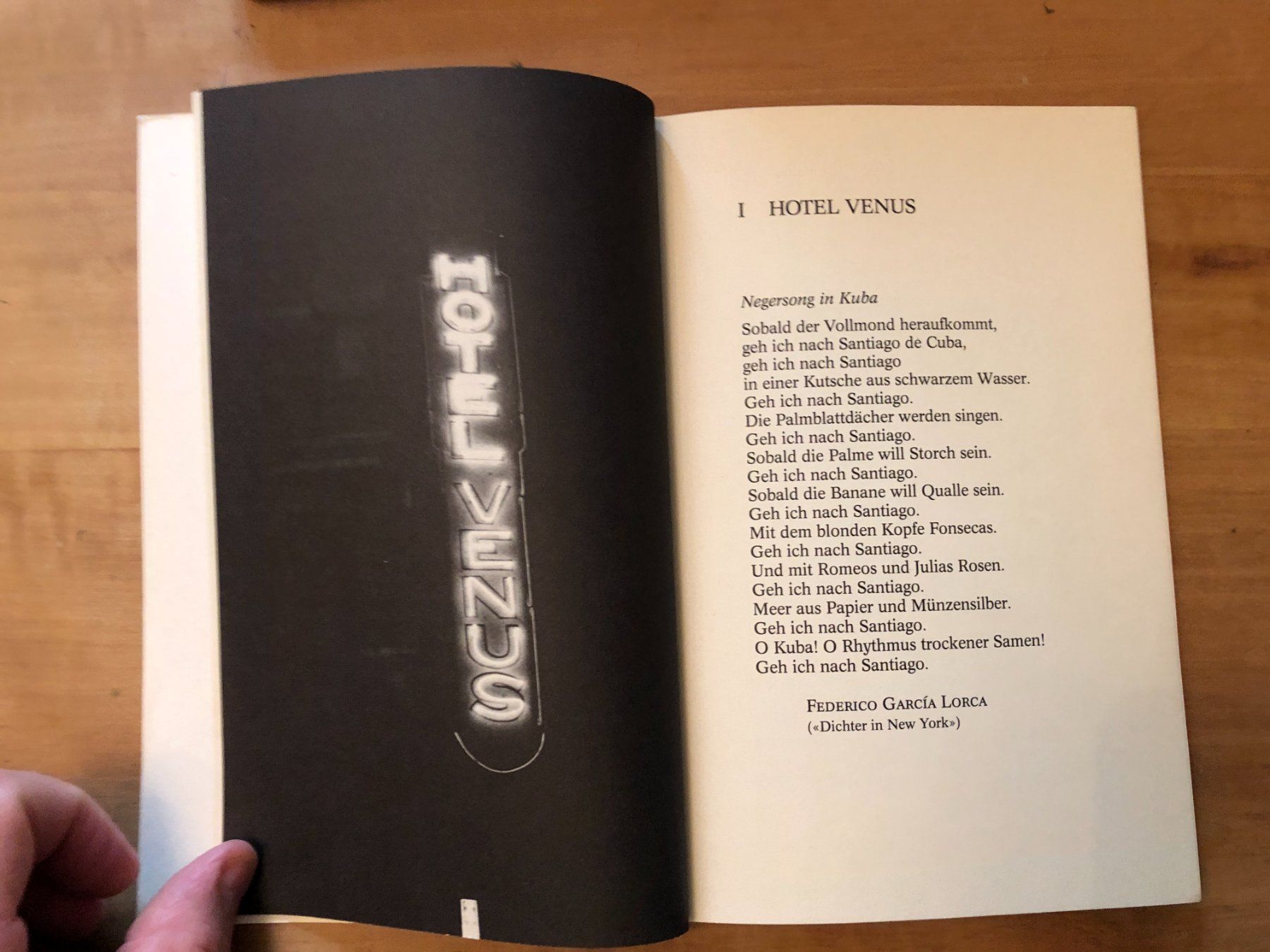 Libri: Anne Cuneo: Hotel Venus – Usato da Zürich venduto da allp 4