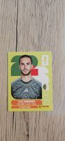 World Cup Panini ALG 11
