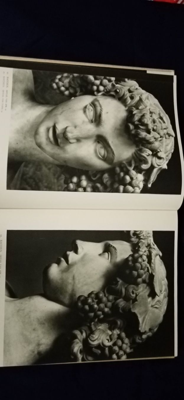 Libri: Michelangelo, Bildband – Usato da Büsingen venduto da Flohminator 5