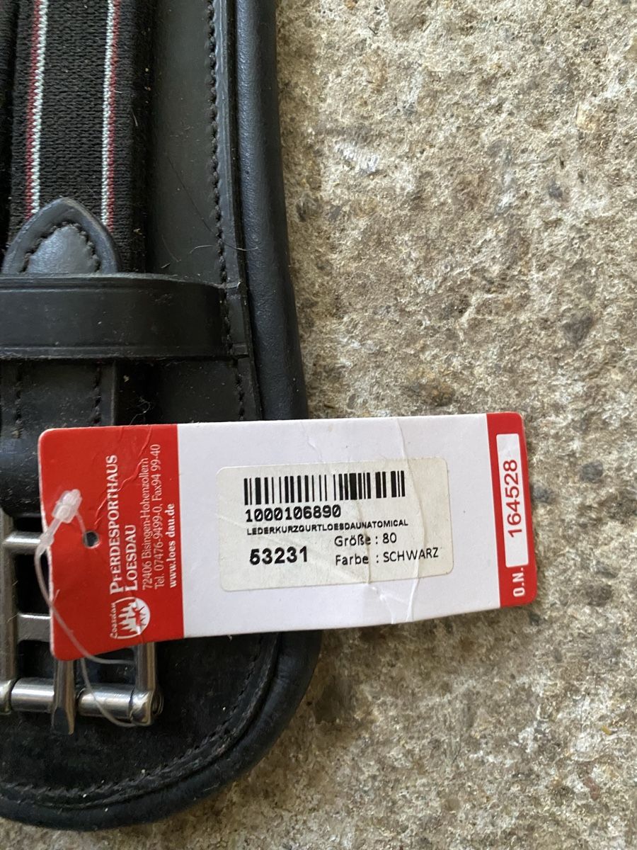 Selles, accessoires: Sattelgurt – Neuf avec emballage d'origine à Lenggenwil par ale_r8nj 2