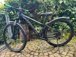 Mountainbike Stevens Taniwha Hardtail