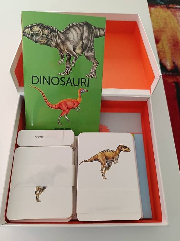 Giochi: Dinosauri Montessori – Usato da Locarno venduto da fer_rh7r 1