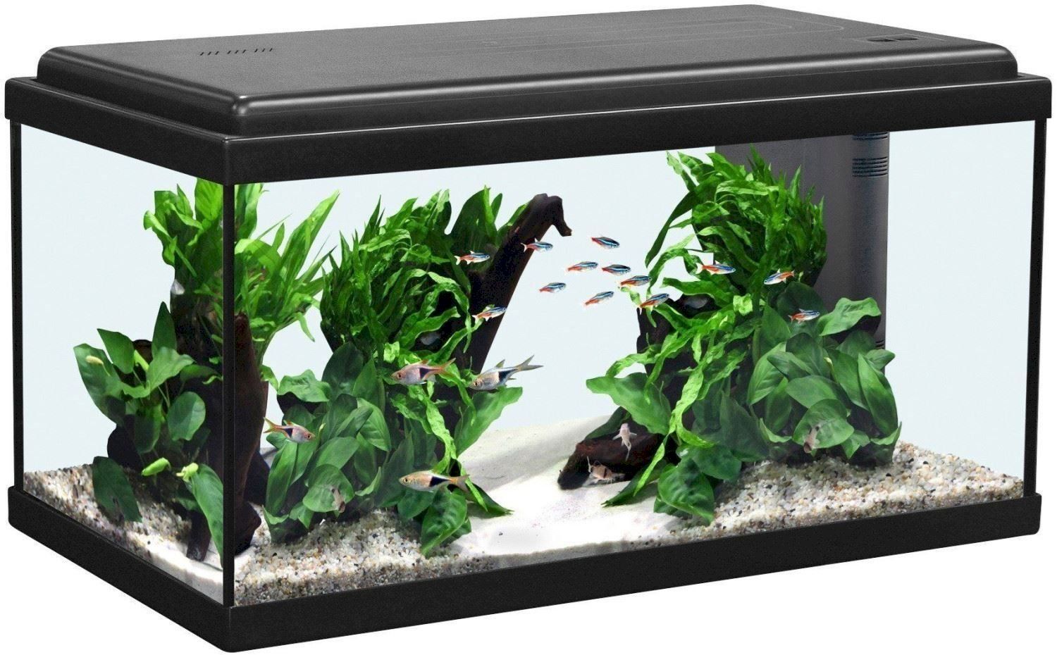 Aquarium: Aquatlantis Advance LED 60 schwarz – Neu und originalverpackt aus Bottighofen von zaap