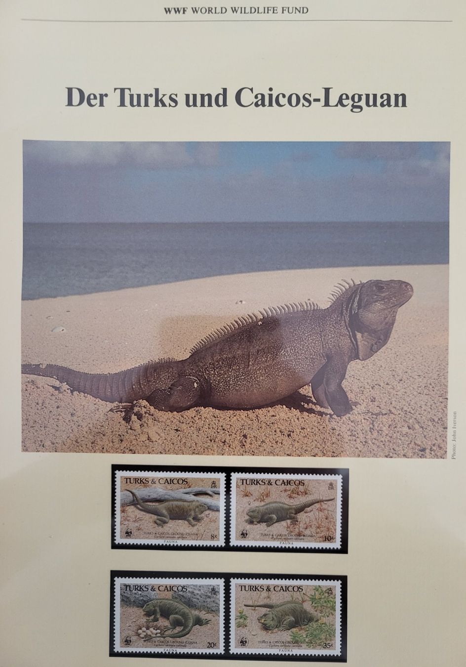 Tutti i francobolli: WWF-Album mit 10 Ausgaben – Nuovo (secondo la descrizione) da Wetzikon ZH venduto da BeniB01 7