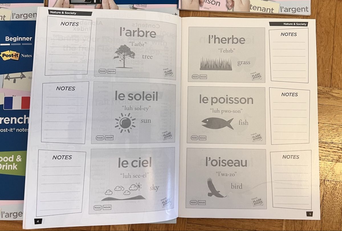 Libri: Learn French - 600 Post-it Vocabulary Notes – Nuovo (secondo la descrizione) da Neuchatel venduto da jaz_77ly 6