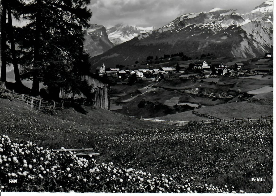 Cartoline postali: Feldis – Usato da Hochdorf venduto da Ziegel-16