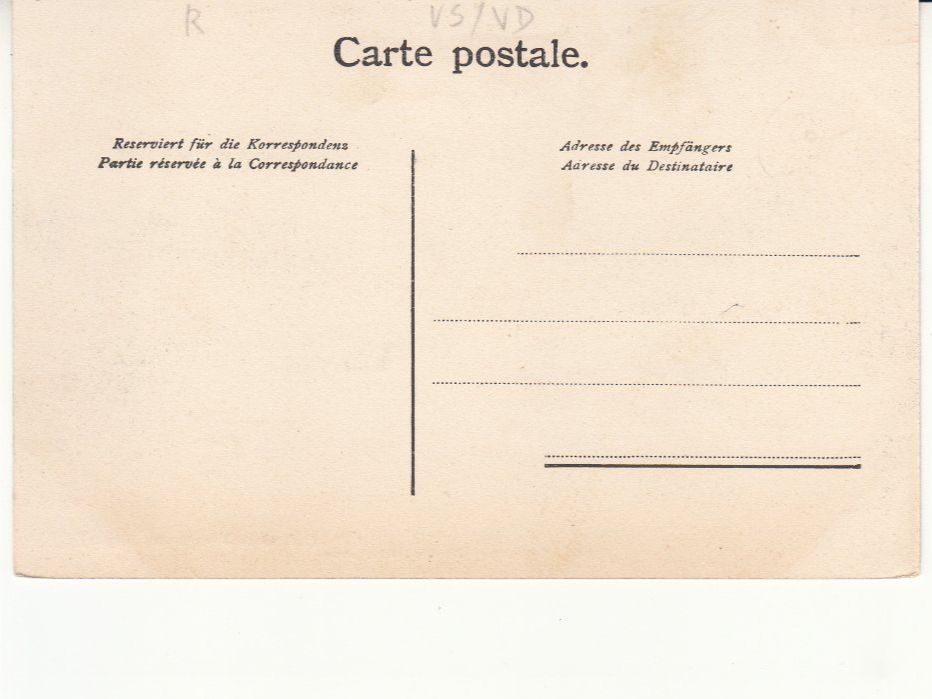 Cartoline postali: Taveyannaz ca. 1910 – Usato da Bürglen TG venduto da StampGraf 1