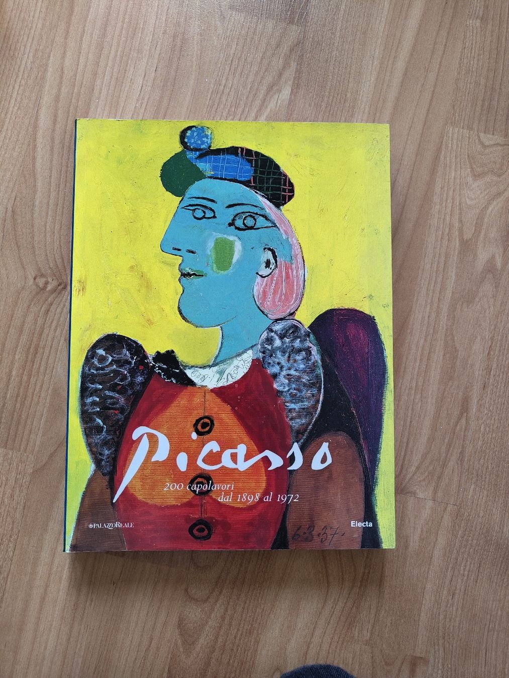 Libri: Catalogo Pablo Picasso – Usato da Biasca venduto da val_camo93