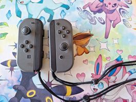 2 x Joy Cons Grau