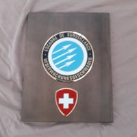 UeG Überwachungsgeschwader Schweizer Luftwaffe