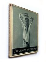 Urformen der Kunst. Karl Blossfeldt. Photogr. Pflanzenbilder